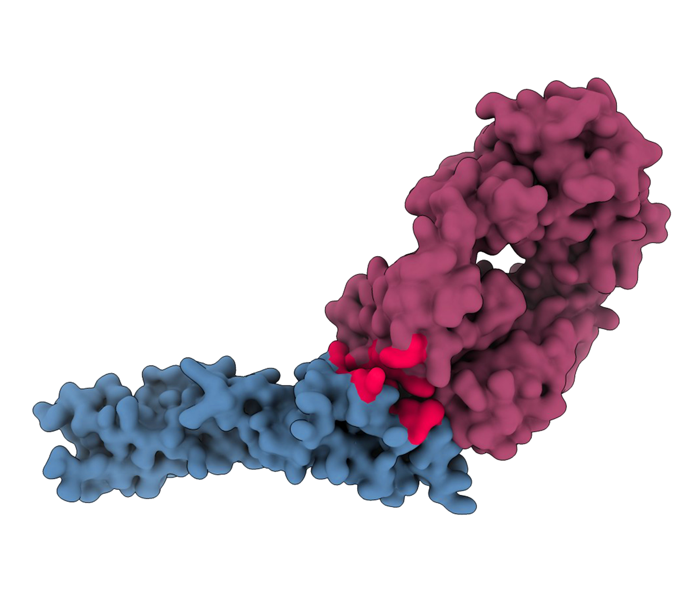 ProtXplain protein R&D platform